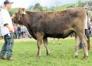 141011Nidwalden 091